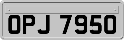 OPJ7950