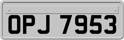 OPJ7953