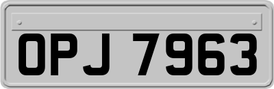 OPJ7963