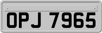 OPJ7965