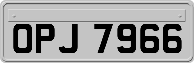 OPJ7966