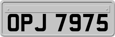 OPJ7975