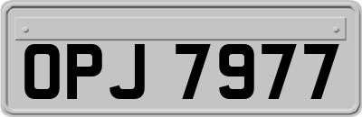 OPJ7977
