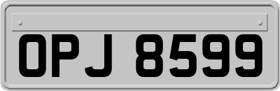 OPJ8599