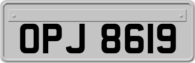 OPJ8619