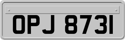 OPJ8731