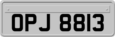 OPJ8813