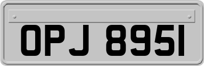 OPJ8951