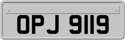 OPJ9119