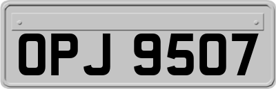 OPJ9507