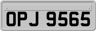 OPJ9565