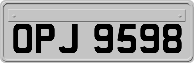 OPJ9598