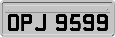 OPJ9599