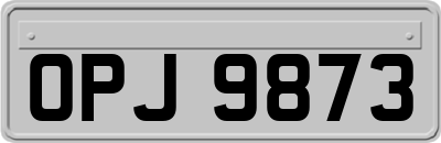 OPJ9873