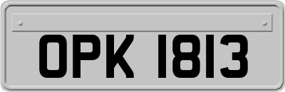 OPK1813