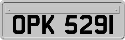 OPK5291