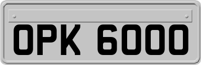 OPK6000