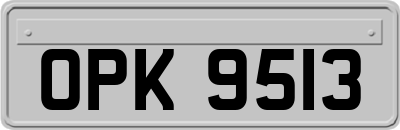 OPK9513