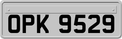 OPK9529