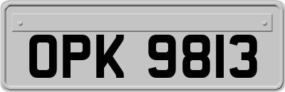 OPK9813