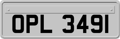 OPL3491
