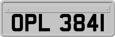 OPL3841
