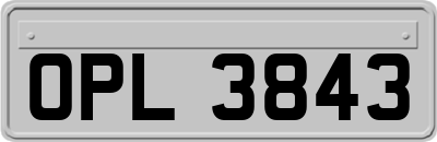 OPL3843