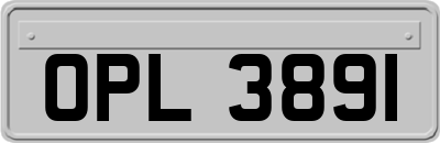 OPL3891