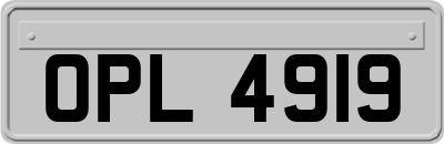 OPL4919