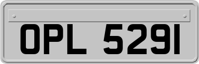 OPL5291