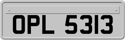 OPL5313