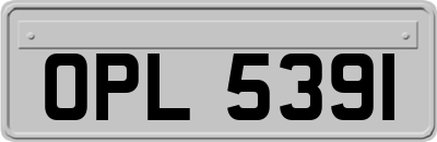 OPL5391