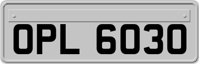 OPL6030