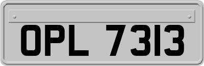 OPL7313
