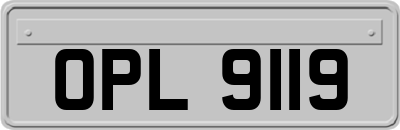OPL9119