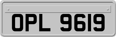 OPL9619