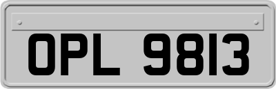 OPL9813