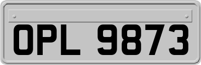 OPL9873