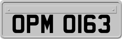OPM0163