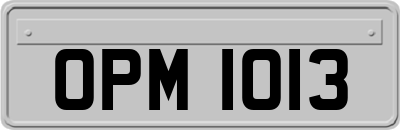 OPM1013