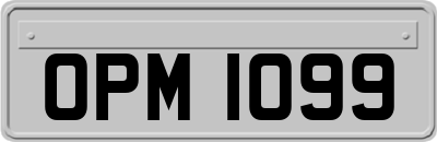 OPM1099