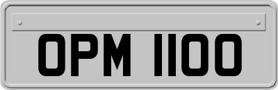 OPM1100