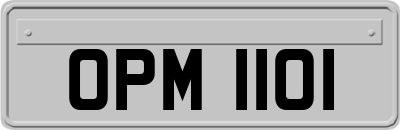 OPM1101