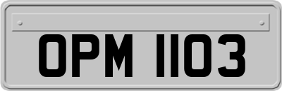 OPM1103