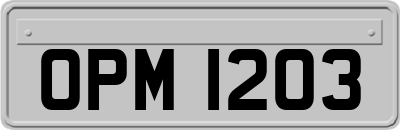 OPM1203