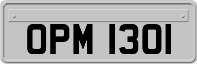 OPM1301