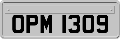 OPM1309