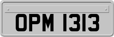 OPM1313