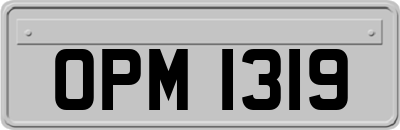 OPM1319