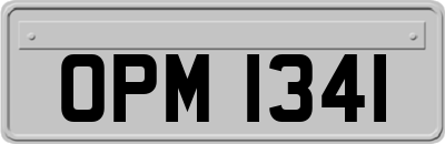 OPM1341